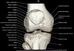 located laterally & posteriorly of tibial condyle


 


where fibula inserts


 


 