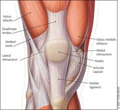 - fibrous band which attaches the medial border of the patella


 


- holds the patella medially