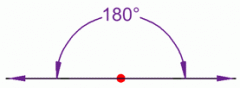 
An angle measuring exactly 180 degrees