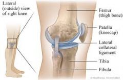 stability of lateral collateral ligaments 
 
1. place hand against the medial surface of the knee and the other around the lateral ankle 
2. push medially against the knee and pull laterally at the ankle to open the knee joint on the lateral side ...