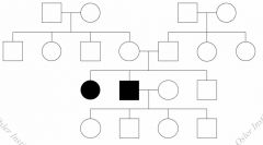 What inheritance pattern does the pedigree demonstrate?