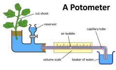 It actually measures the rate of water absorption but if the cells of the plant are fully turgid the rate of
water absorption and the rate of transpiration are the same.
