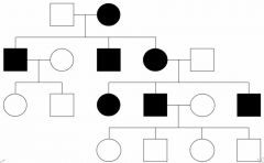 What inheritance pattern does the pedigree demonstrate?