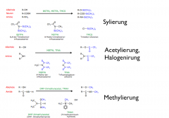 - Sylierung
- Acetylierung, Halogenirrung
- Methylierung
