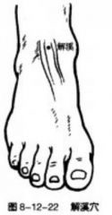 足背踝關節橫紋中央凹陷處，當拇長伸肌踺與趾長伸肌腱之間