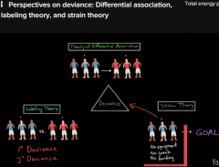 Differential association predicts that an individual will choose the criminal path when the balance of definitions for law-breaking exceeds those for law-abiding. This tendency will be reinforced if social association provides active people in the...