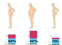 *FAT person -> LESS water (til 45%) *THIN person -> MORE water (til 75%) 

=> The fatter the person is, the less water he has