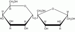 1. Occurs when two simple sugar molecules bond