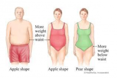 Apple (central obesity) is worse than pear (more weight below waist)