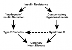Insulin resistance → inadequate insulin secretion → T2DM → coronary heart disease

Insulin resistance → compensatory hyperinsulinemia → syndrome X → coronary heart disease