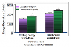 Obese patients have higher resting and total energy expenditure (and if they lose weight it will be comparable to lean patients)