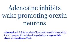 wakefulness is associated with the accumulation of various brain metabolites such as adenosine,  prostaglandins and cytokines, as well as of inhibitory amino acids such as GABA and glycine. Sufficient accumulation of such metabolites leads to inhi...