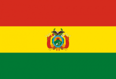 Capital: La Paz or Sucre
Language: Spanish (25 official languages!!!) 
Currency: boliviano