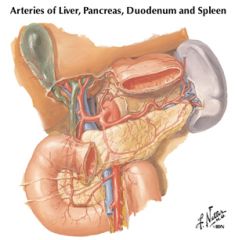 Posterior superior pancreaticoduodenal artery