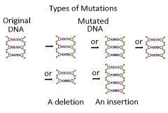 a natural process that changes a DNA sequence