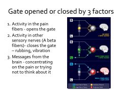 For gateway control theory, what are some examples of things that can open the gate? Close it?