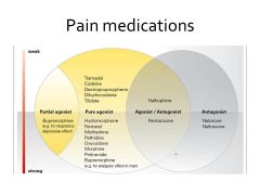 NSAID and sterioids work by helping to block prostaglandins after tissue damage. But stronger pain meds like opiods are different.  How do these pain medications (opiods) work?