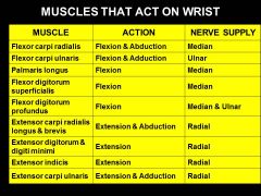 The flexors of the wrist (mostly median nerve) are in which compartment of the forearm, and the extensors are in what compartment (radial nerve)?