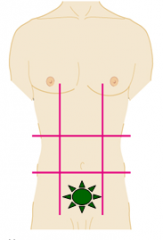Immediately inferior to the umbilical region; encompasses the pubic area