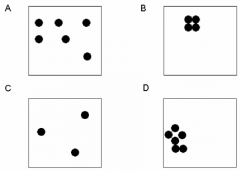 17. Which two of the following four boxes has the highest density of dots?
A. A, B
B. B, C
C. C, D
D. A, D
E. None of the above