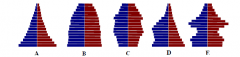 25. Which population pyramid shows a population that is slowly growing? 
A. Pyramid “A”. 
B. Pyramid “B”. 
C. Pyramid “C”. 
D. Pyramid “D”. 
E. Pyramid “E”.