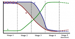 5. Which of the following statements about the Demographic Transition Model is TRUE? 
A. Line A represents Total Population, Line B represents Birth Rate, Line C represents Death Rate. 
B. Line A represents Total Population, Line B represents Deat...