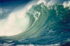 A large tidal wave; generated when earthquakes occur beneath the sea.