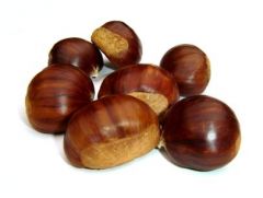 Chestnut

/ˈtʃesnʌt/