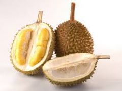  durian