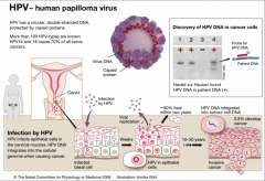 Human Papilloma Virus (HPV). 

The virus causes mutations by integrating their DNA into the host DNA.