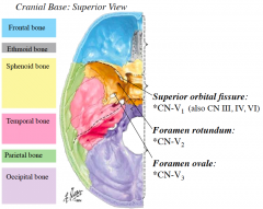 -When the trigeminal nerve emerges from the brainstem, it courses anteriorly through the middle cranial fossa
-From the trigeminal ganglion, located on the floor of the middle cranial fossa, emerges V1, V2 and V3
-V1, V2 and V3 leave the cranial...