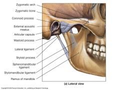 Lateral ligament - prevents posterior dislocation. 

Sphenomandibular + Stylomandibular ligament - prevent excessive opening of the jaw. 