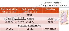 Stage in respiration (inspiration vs expiration)
Position in lung (apex vs base)
Pattern of breathing (forced vs rest)