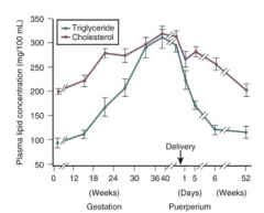 - Hyperlipidemia (TGs, cholesterol, FFAs) in fed and fasting state
- Hypertriglyceridemia in fed state
- Plasma lipid concentration progressively increases after 24 weeks gestation