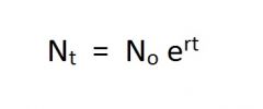 "Nt" and "No" in this formula stand for ....