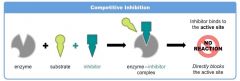 Competitive Inhibitors compete with the substrate for the active site.

