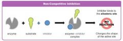 Non-competitive Inhibitors bind to site other than the active site on the enzyme causing a change in enzyme conformation --> active site closing.
