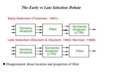 disagreement about the location of the filter; Late Selectionists argued filter was downstream after semantic analysis but before awareness