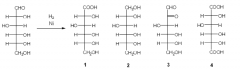 7. What is the major organic product obtained from the following reaction?
a. 1
b. 2
c. 3
d. 4