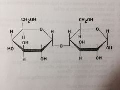 What type of molecule is shown in the figure?