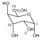 9. Which carbon in the following carbohydrate is the anomeric carbon?
a. i
b. ii
c. iii
d. iv