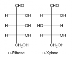 21. What is the relationship between D-ribose and D-xylose?
a. they are constitutional isomers
b. they are enantiomers
c. they are diastereomers
d. they are tautomers