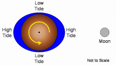 Distortion of a body resulting from tidal stresses. Tidal bulging is why the moon's mantel is exposed. 
