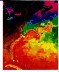 The figure below shows water temperatures off the eastern side of the continental United States. Red indicates warm water while blue indicates cold water. What is the number 3 showing?