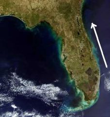 Winds blowing from the south along the eastern side of Florida would produce