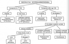 Transient Hyperammonemia of Newborn (THAN)