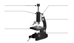 Name the parts of the Microscope