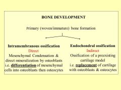 Differentiation vs. replacement
IM= short bones/ flat bones/ skull