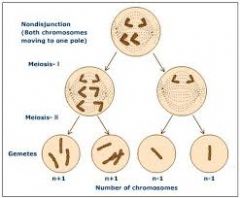 1.Having 45 or 47 chromosomes when 45 is needed is an example of __________

