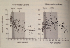  Over-abundance of grey matter under supply of white matter the number and type of synapses change as we age